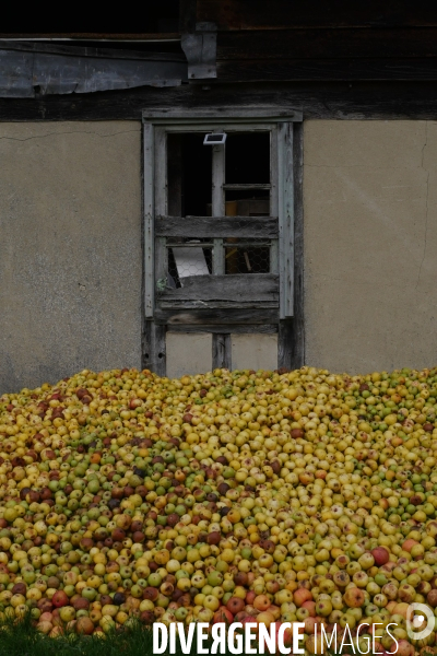 Un brasseur et son pressoir ambulant ( cidre )