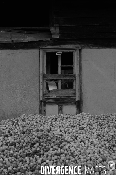 Un brasseur et son pressoir ambulant ( cidre )