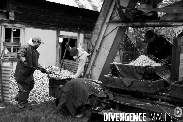 Un brasseur et son pressoir ambulant ( cidre )