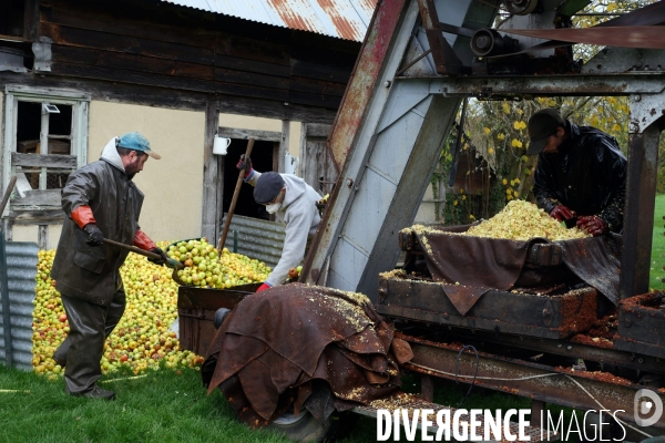 Un brasseur et son pressoir ambulant ( cidre )
