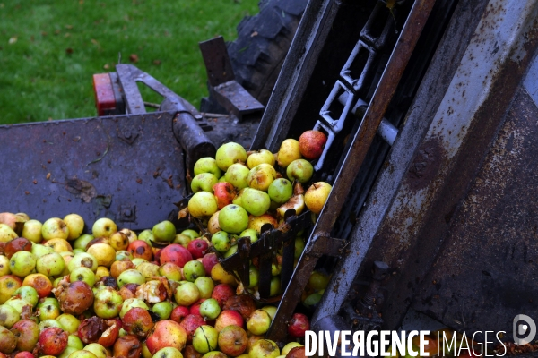 Un brasseur et son pressoir ambulant ( cidre )