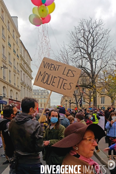 Manifestation contre le projet de loi Sécurité Globale 