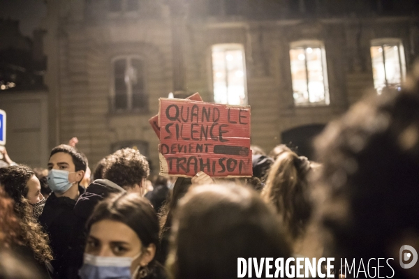 Manifestation contre la loi  sécurité globale 