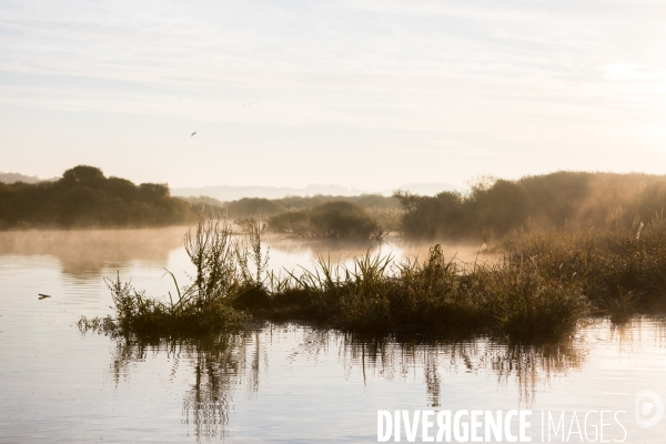 Réserve Naturelle du Lac de Grand-Lieu