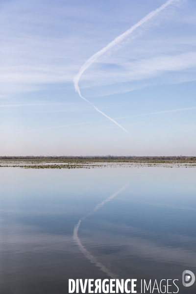 Réserve Naturelle du Lac de Grand-Lieu