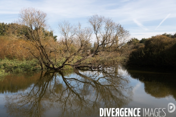 Réserve Naturelle du Lac de Grand-Lieu