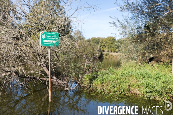 Réserve Naturelle du Lac de Grand-Lieu