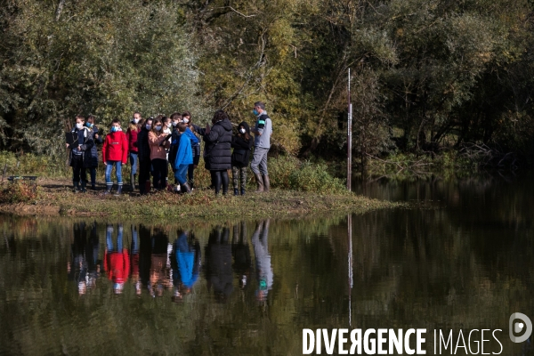 Réserve Naturelle du Lac de Grand-Lieu