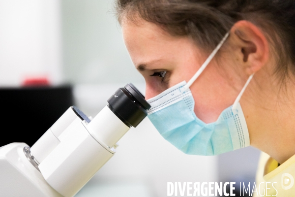 Recherches sur la mort subite à l Institut du Thorax