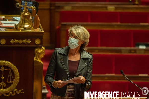 Assemblée nationale. Sécurité globale. Proposition de loi.