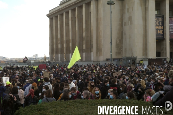 Manifestation contre l article 24