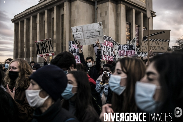 Rassemblement contre la loi de securite globale, place du trocadero.