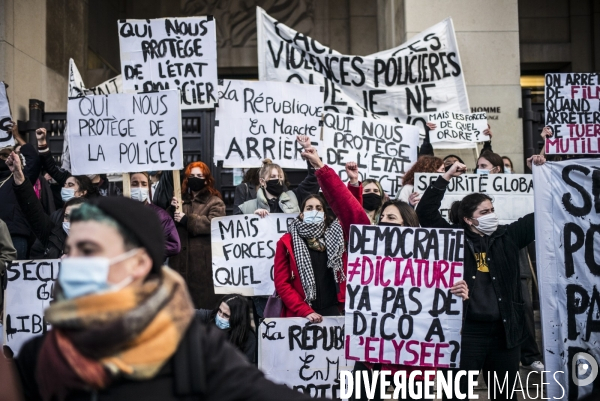 Rassemblement contre la loi de securite globale, place du trocadero.