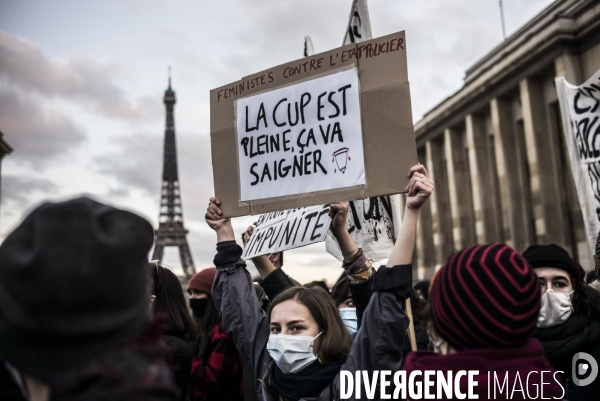 Rassemblement contre la loi de securite globale, place du trocadero.