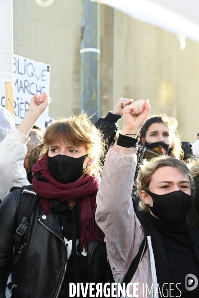 Manifestation contre le projet de loi SECURITE GLOBALE PPL, Demonstration against new security law project against freedom of information.