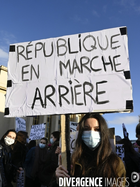 Manifestation contre le projet de loi SECURITE GLOBALE PPL, Demonstration against new security law project against freedom of information.