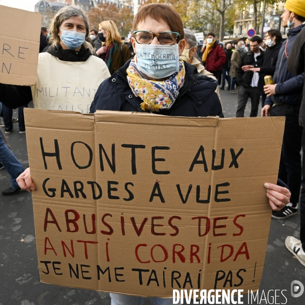 Manifestation contre le projet de loi SECURITE GLOBALE PPL, Demonstration against new security law project against freedom of information.