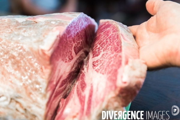 Elevage de boeufs wagyu