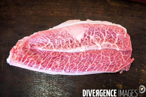 Elevage de boeufs wagyu