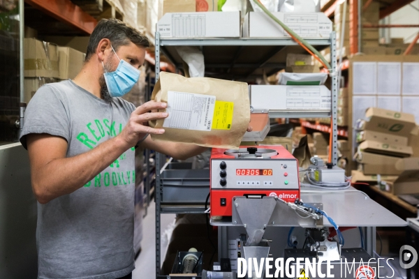 Production de semences en agriculture biologique