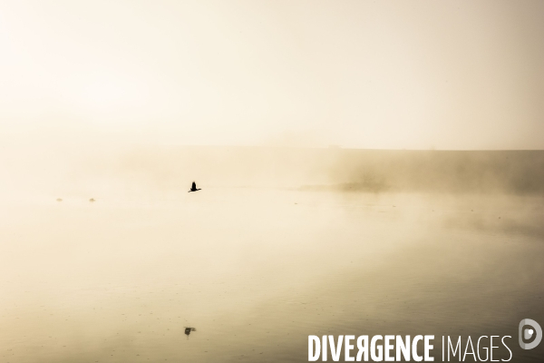 Pont de la Loire le matin dans le brouillard