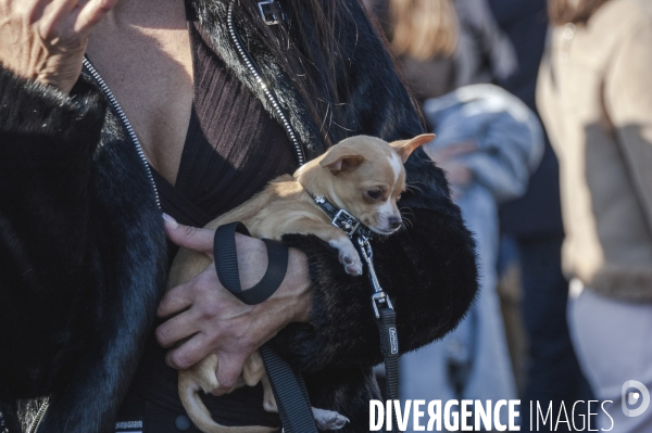 Manifestation des restaurateurs à marseille.