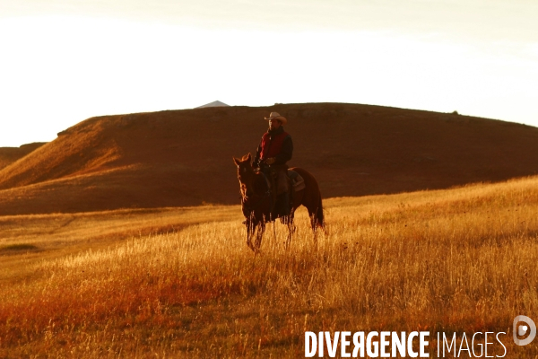 South Dakota Buffalo Round Up