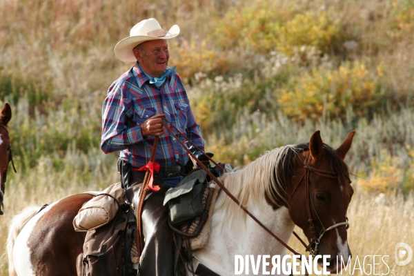 South Dakota Buffalo Round Up