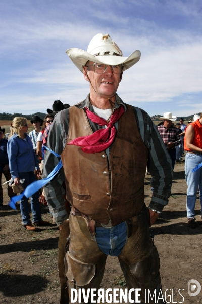 South Dakota Buffalo Round Up