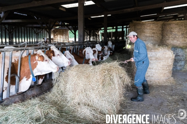 Paysan boulanger en Mayenne