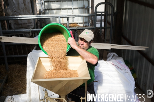 Paysan boulanger en Mayenne