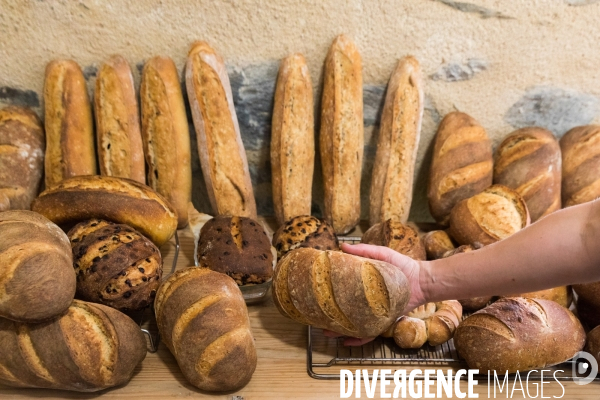 Paysan boulanger en Mayenne