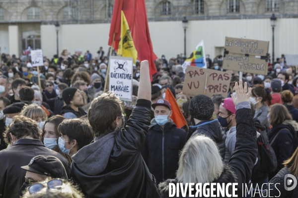 Manifestation à BORDEAUX contre l article 24 et la loi de Sécurité globale.