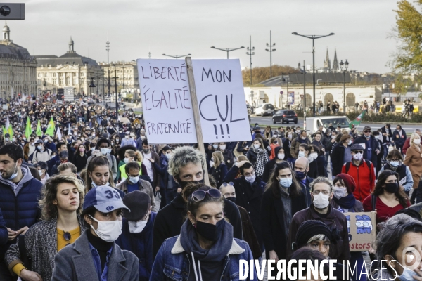 Manifestation à BORDEAUX contre l article 24 et la loi de Sécurité globale.