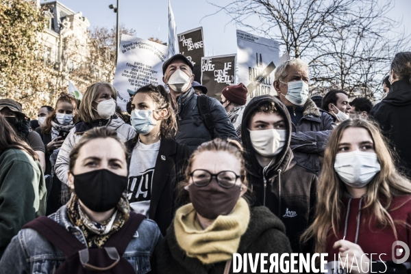 Marche des libertes contre la loi securite globale.