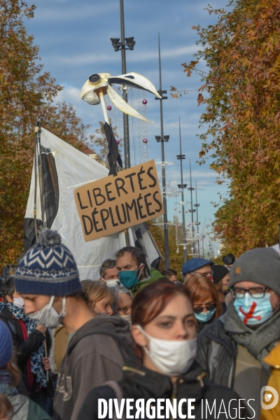 Marche des libertés contre la loi sécurité globale