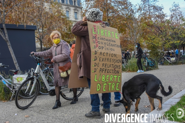 Marche des libertés contre la loi sécurité globale