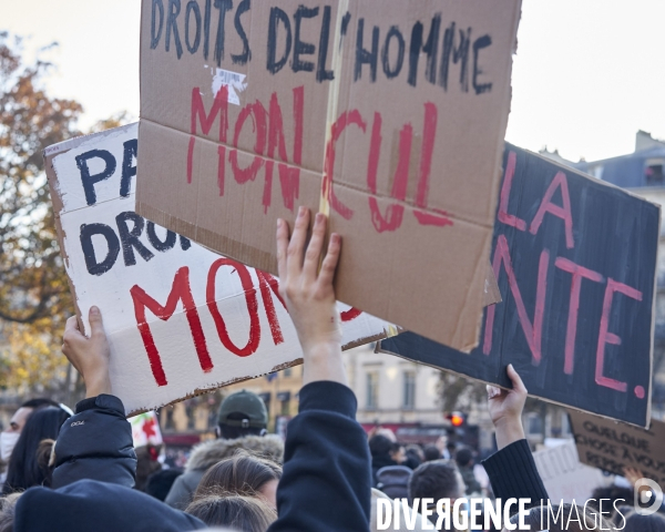 Manifestation contre la proposition de loi « sécurité globale » et les violences policières.