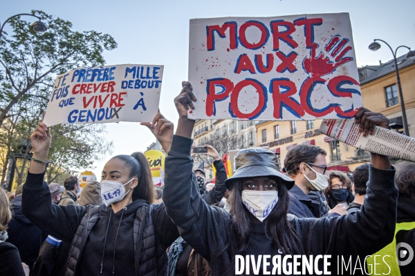 Manifestation contre la loi de securite globale. 28112020. Paris.