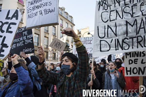 Manifestation contre la loi de securite globale. 28112020. Paris.