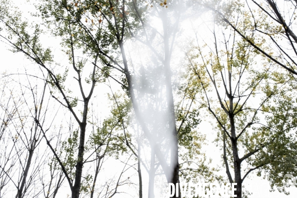 Divers