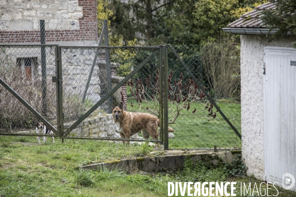 Obsession : Les Chasseurs