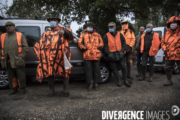 Chasse communale en foret de Rambouillet