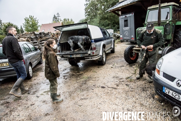 Chasse communale en foret de Rambouillet