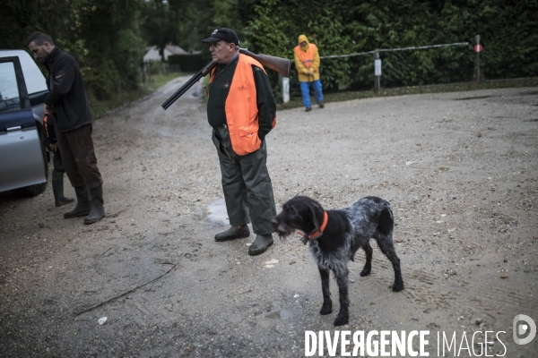 Chasse communale en foret de Rambouillet