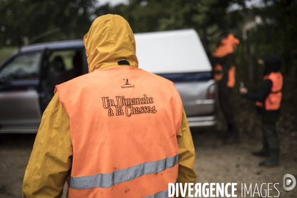 Chasse communale en foret de Rambouillet