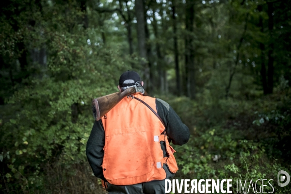 Chasse communale en foret de Rambouillet