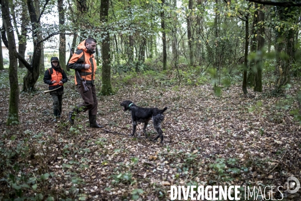Chasse communale en foret de Rambouillet