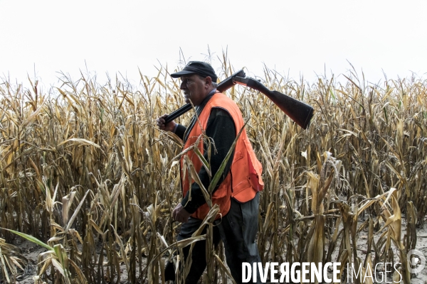 Chasse communale en foret de Rambouillet