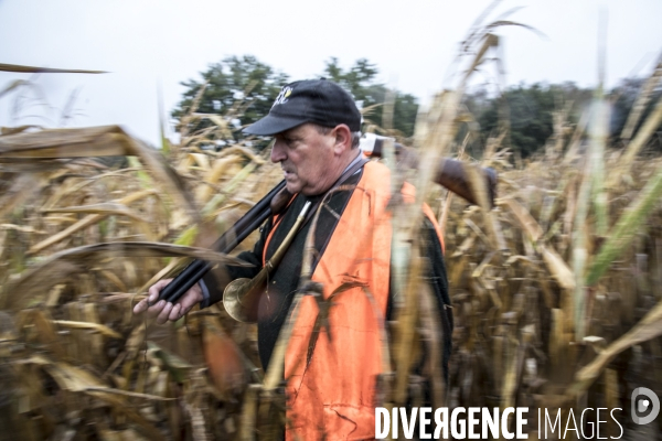 Chasse communale en foret de Rambouillet